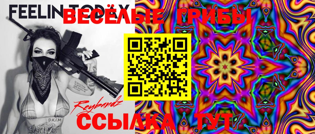 Псилоцибиновые грибы Psilocybe Нальчик